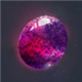 倩女幽魂手游焕彩石怎么样? 手机知道